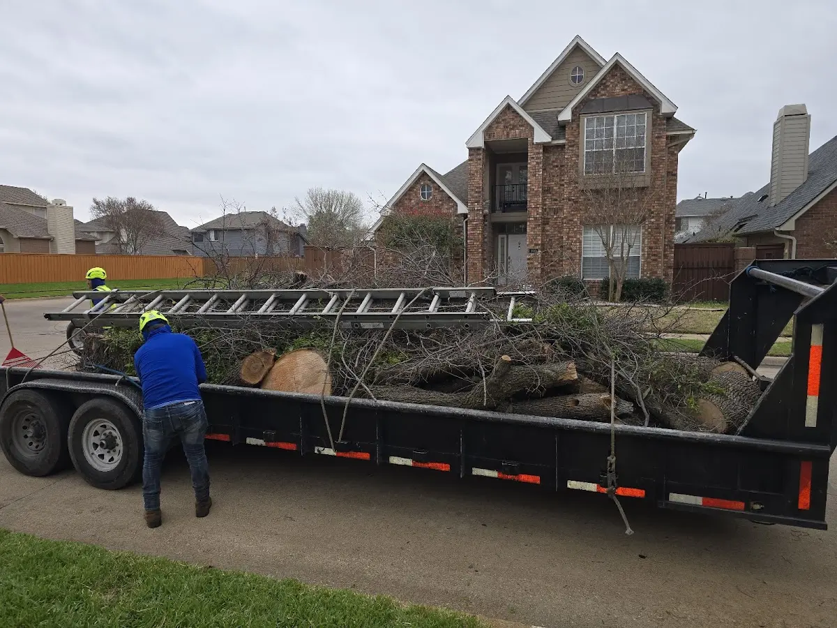 Expert Tree Fertilization with proper safety equipment in Streeter